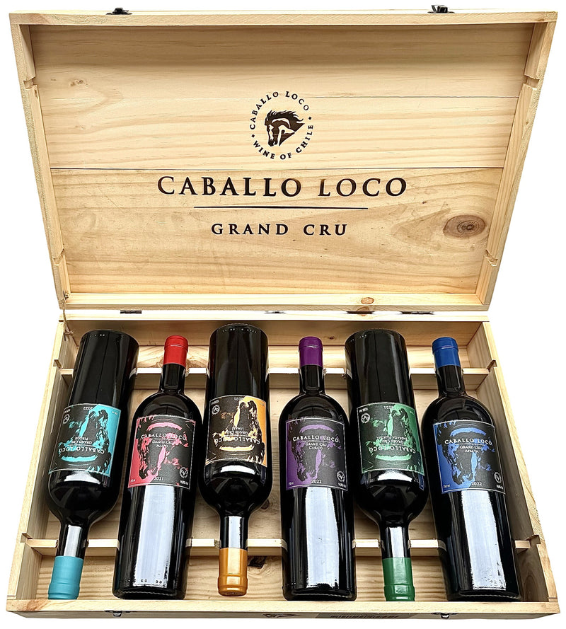 Combo Vinho Caballo Loco Grand Cru | 6 Rótulos | 1 Maipo, 1 Apalta, 1 Curicó, 1 Sagrada Familia, 1 Pirque e 1 Limari