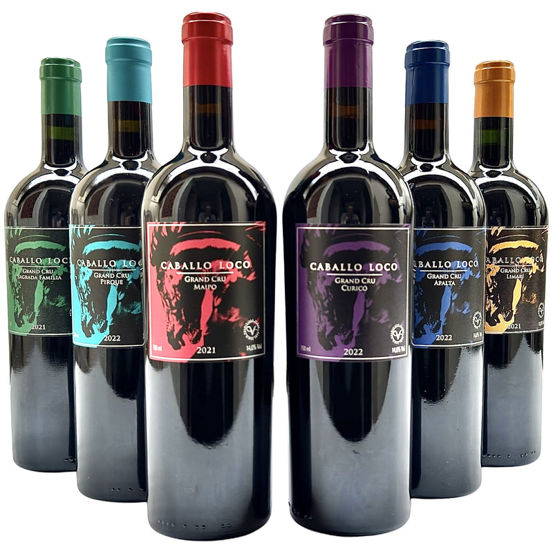 Combo Vinho Caballo Loco Grand Cru | 6 Rótulos | 1 Maipo, 1 Apalta, 1 Curicó, 1 Sagrada Familia, 1 Pirque e 1 Limari